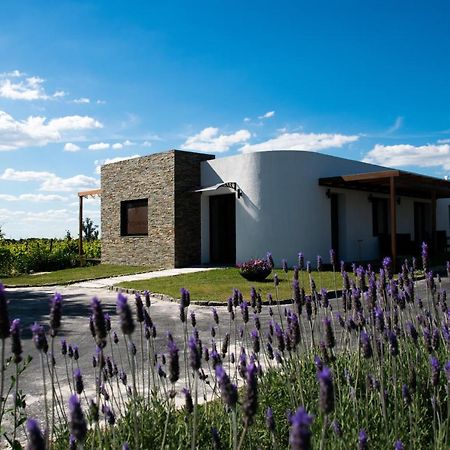 Pizzorno Lodge & Wine Progreso Eksteriør bilde