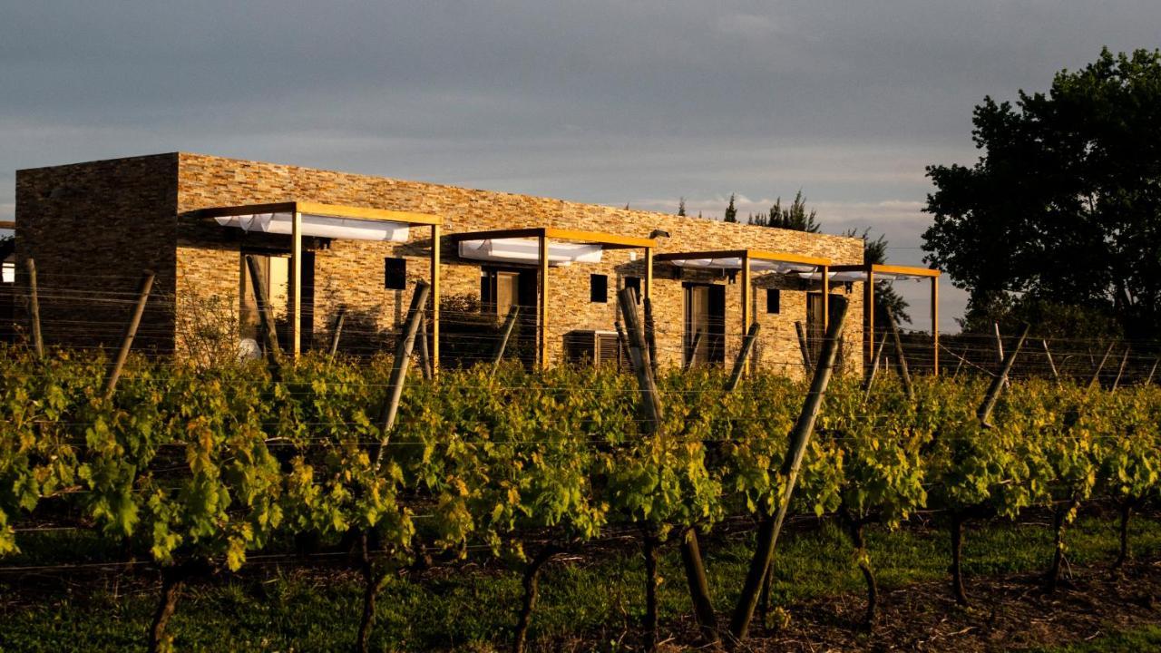 Pizzorno Lodge & Wine Progreso Eksteriør bilde