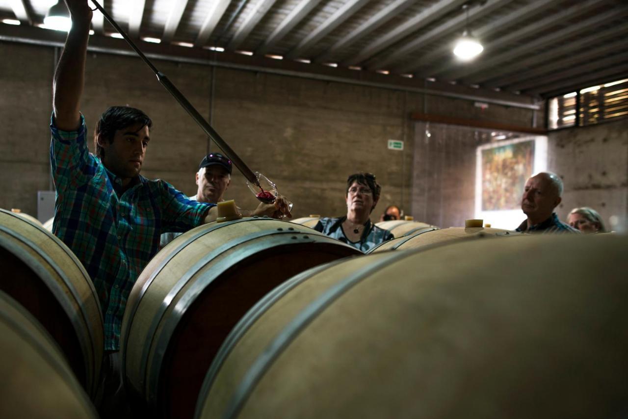 Pizzorno Lodge & Wine Progreso Eksteriør bilde