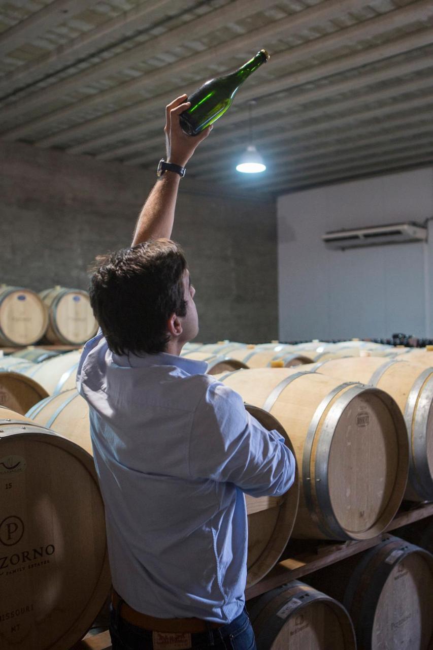 Pizzorno Lodge & Wine Progreso Eksteriør bilde