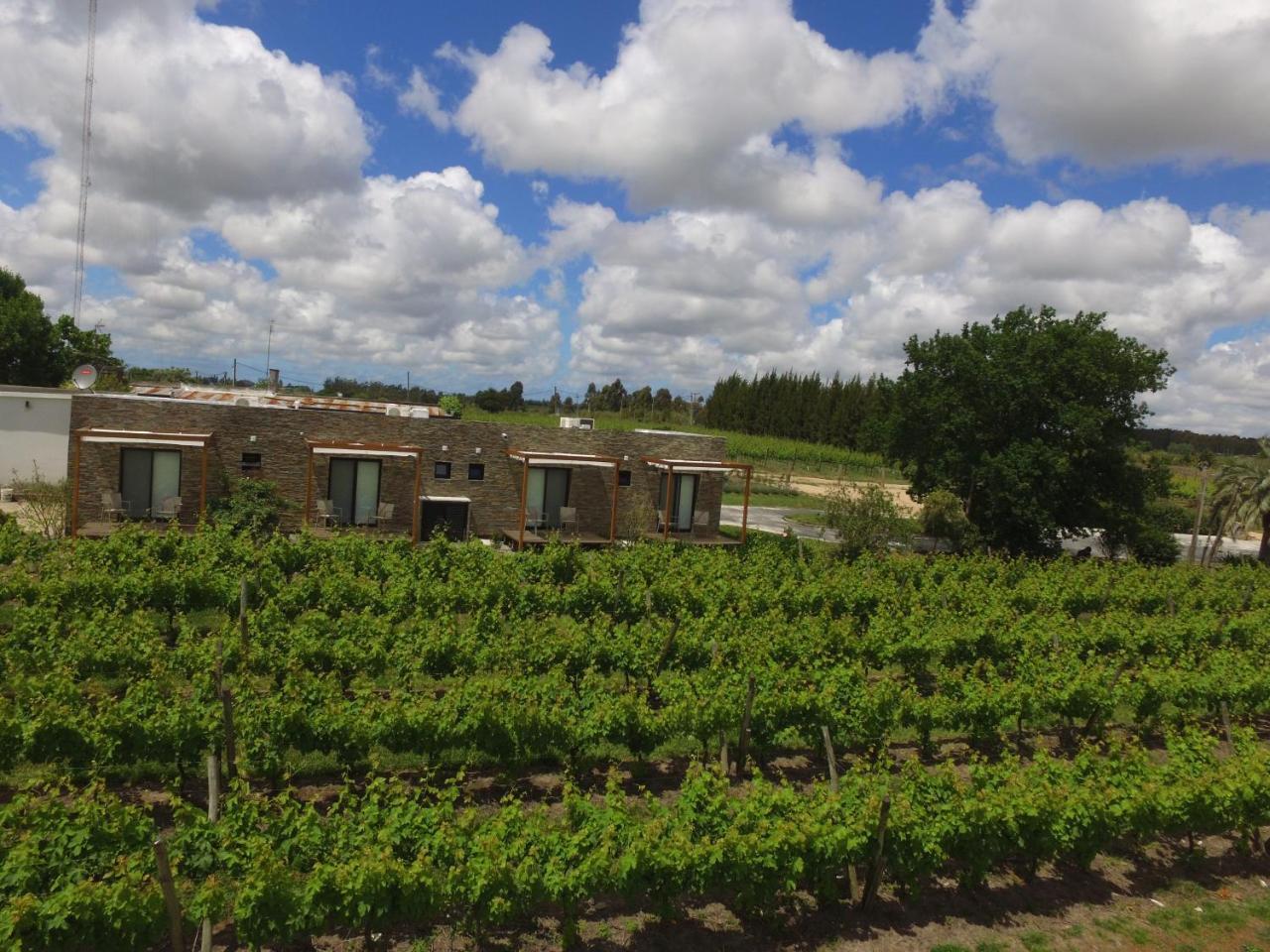 Pizzorno Lodge & Wine Progreso Eksteriør bilde
