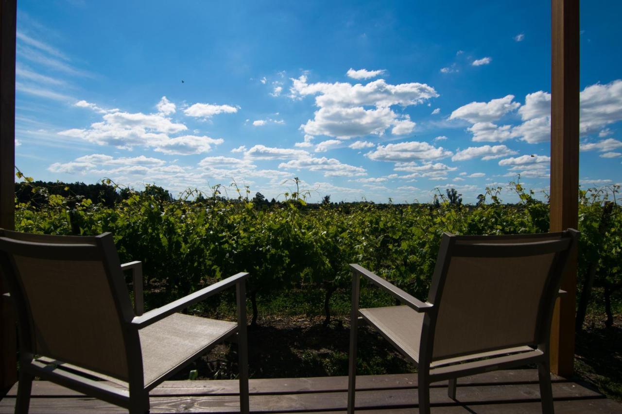 Pizzorno Lodge & Wine Progreso Eksteriør bilde