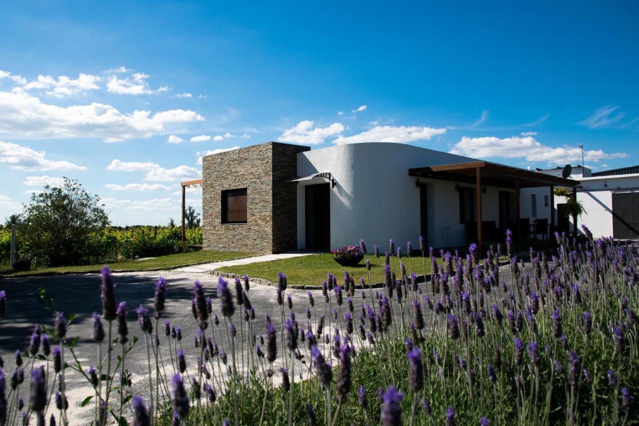 Pizzorno Lodge & Wine Progreso Eksteriør bilde